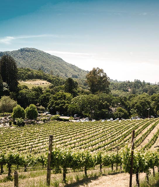 Healdsburg - Design Hotels Healdsburg USA City Page